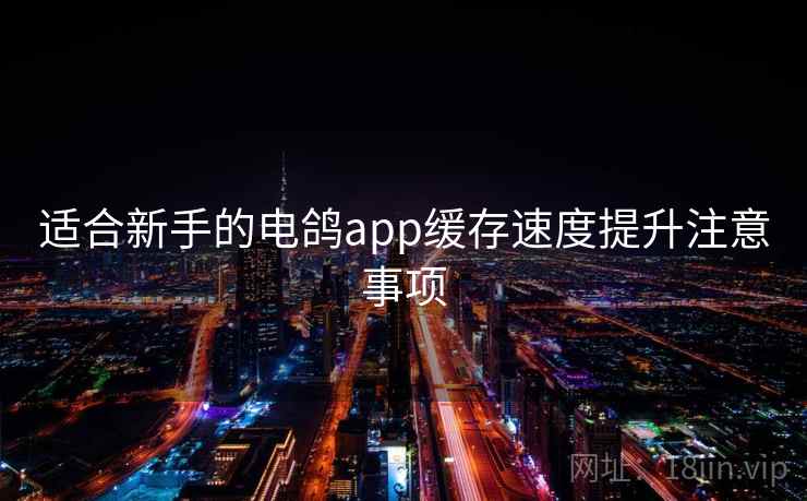 适合新手的电鸽app缓存速度提升注意事项