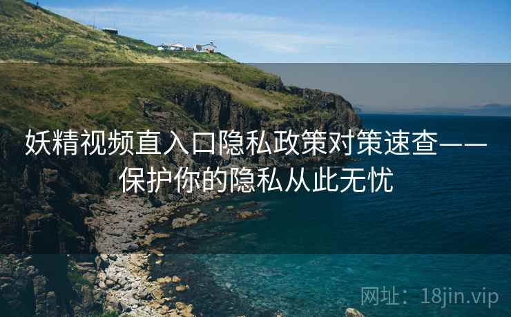 妖精视频直入口隐私政策对策速查——保护你的隐私从此无忧