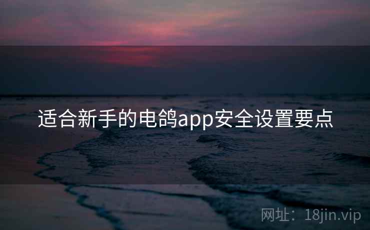 适合新手的电鸽app安全设置要点 适合新手的电鸽app安全设置要点