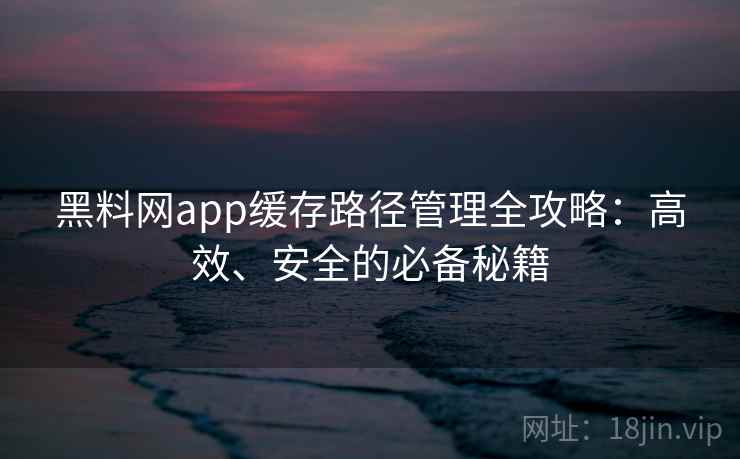 黑料网app缓存路径管理全攻略：高效、安全的必备秘籍