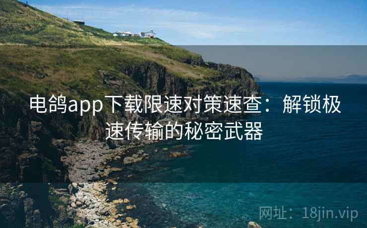 电鸽app下载限速对策速查:解锁极速传输的秘密武器 电鸽app下载限速对策速查:解锁极速传输的秘密武器